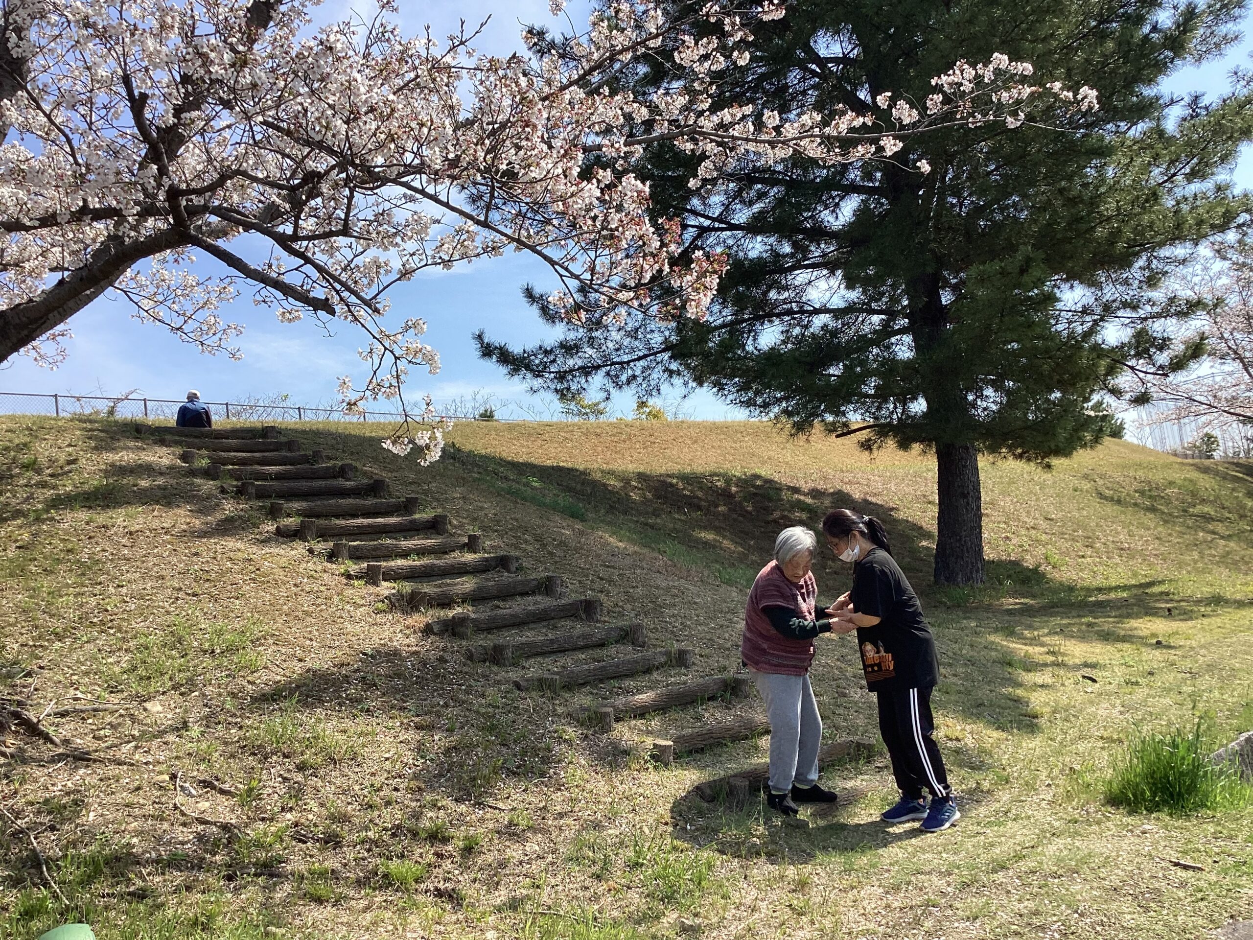 「すないの家 春日井」お花見